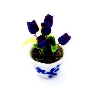 May include: A miniature potted plant with dark purple flowers and green leaves in a white ceramic pot with blue and white floral design.