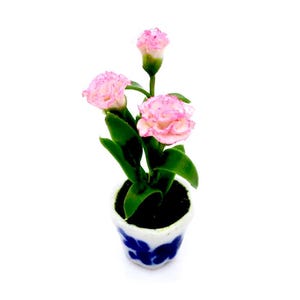 May include: A small potted plant with pink flowers and green leaves. The pot is white with blue floral designs.
