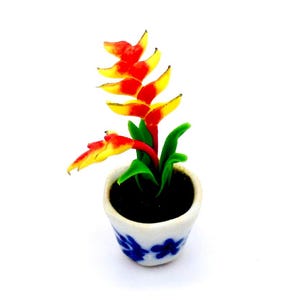May include: A miniature potted plant with a vibrant red and yellow flower. The plant has green leaves and is in a small white pot with blue floral designs. The pot is filled with dark soil, and the background is white.