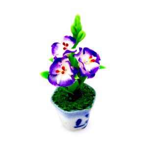 May include: A small potted plant with purple and white flowers in a blue and white ceramic pot. The plant has green leaves and is sitting on a white background.