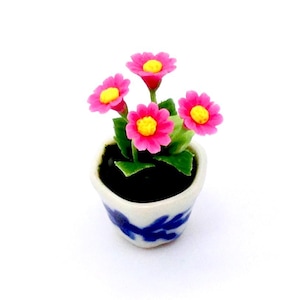 May include: A miniature pink flower plant in a blue and white ceramic pot. The plant has four flowers with yellow centers.