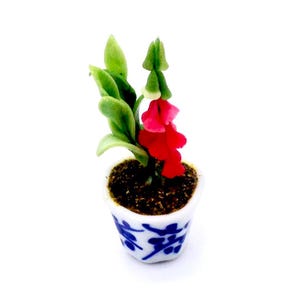 May include: A miniature potted plant with a vibrant red flower and green leaves. The plant is in a small white ceramic pot with blue floral designs. The pot is filled with dark soil, creating a charming, decorative piece.