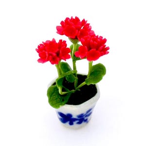 May include: A miniature potted plant with bright red flowers and green leaves. The pot is white with blue floral designs.