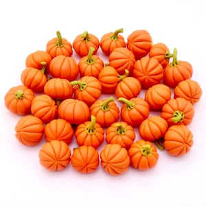 Op de afbeelding: Een verzameling kleine, oranje, kunstmatige pompoenen. De pompoenen zijn in een cirkel op een witte achtergrond gerangschikt.