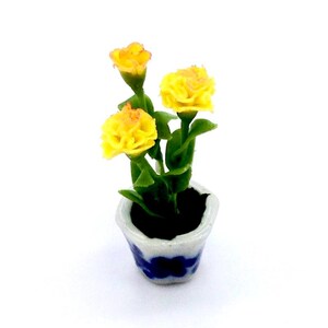 Könnte beinhalten: Miniatur-Topfpflanze mit drei gelben Blüten und grünen Blättern. Der kleine Keramiktopf ist weiß mit einem blauen Blumenmuster. Die Pflanze steht vor einem weißen Hintergrund.