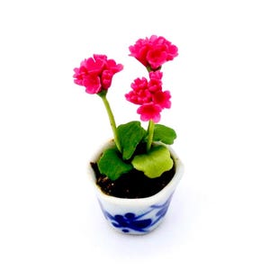 May include: A miniature potted plant with pink flowers and green leaves in a blue and white ceramic pot.