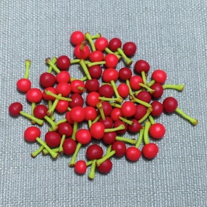 20 Miniature Dollhouse Cherry Fruit Clay Polymer Small Fruits Supplies Cute Little Cherries Red Green Hand Made Food Jewelry Decor Deco 1/12