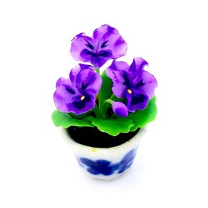 May include: A miniature potted plant with purple flowers and green leaves. The pot is white with blue and white floral designs.