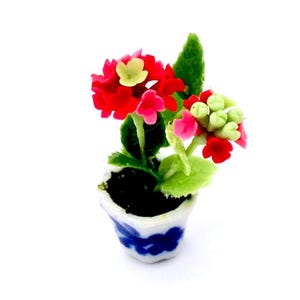 May include: Miniature potted plant with vibrant red and pink flowers, green leaves, and a blue and white ceramic pot. The flowers have yellow and light green accents. The pot is filled with dark soil.