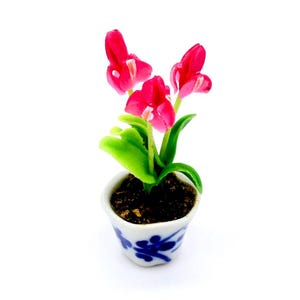May include: A small potted plant with pink flowers and green leaves. The pot is white with blue and white floral designs.
