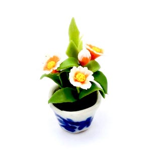 May include: A miniature ceramic flower pot with a blue and white design. The pot is filled with a small plant with white and orange flowers.