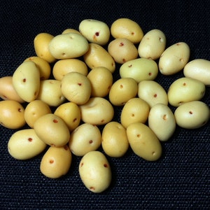 20 Miniature Dollhouse Potatoes Clay Polymer Beige Brown Yellow Vegetables Small Veggies Cute Little Fimo Food Jewelry Supplies Potato 1/12