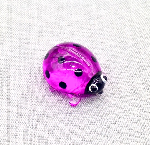  Purple Ladybug