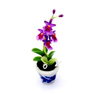 May include: A miniature purple orchid plant in a blue and white ceramic pot. The plant has green leaves and purple flowers.