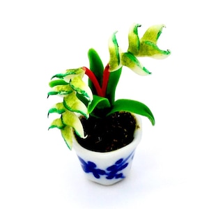 May include: A miniature potted plant with green and white leaves in a blue and white ceramic pot. The plant is made of clay and is a realistic representation of a real plant.