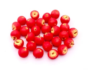 20 Miniature Dollhouse Fresh Red Apples Round Fruit Clay Polymer Little Fruits Small Supply Supplies Fimo Tiny Apple Food Diorama Deco 1/12