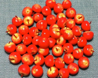 20 Miniature Dollhouse Fresh Red Apples Round Fruit Clay Polymer Fruits Small Supply Cute Little Supplies Fimo Tiny Apple Food Jewelry 1/12