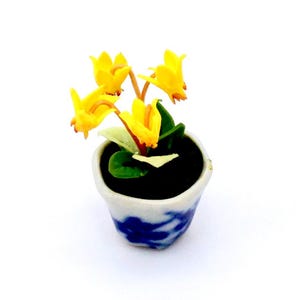 May include: A small potted plant with yellow flowers and green leaves. The pot is blue and white with a floral design.