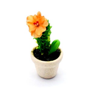 May include: A miniature cactus in a small, off-white ceramic pot. The cactus has a bright orange flower with red accents and a vibrant green stem. The pot is filled with dark soil, creating a realistic miniature plant.