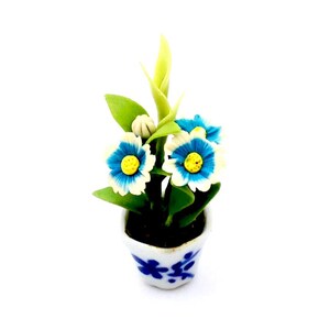 Könnte beinhalten: Eine Miniatur-Topfpflanze mit blau-weißen Blüten, gelben Zentren und grünen Blättern. Die Blumen stehen in einem kleinen, weißen Keramiktopf mit blauen Blumendesigns. Die Pflanze steht vor einem weißen Hintergrund.