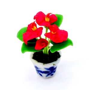 May include: A miniature potted plant with red flowers and green leaves. The pot is white with blue and white floral designs.