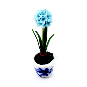 May include: A miniature blue flower in a white ceramic pot with blue floral designs. The pot is filled with brown soil and the flower has green leaves.