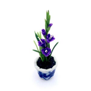Pode incluir: Uma planta em vaso em miniatura com flores de gladíolo roxas vibrantes com centros brancos e caules verdes. A planta está num pequeno vaso de cerâmica branca decorado com um padrão floral azul e preenchido com terra escura e texturizada.
