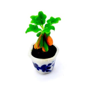 May include: A miniature potted plant with green leaves and orange fruit in a white ceramic pot with blue floral designs.