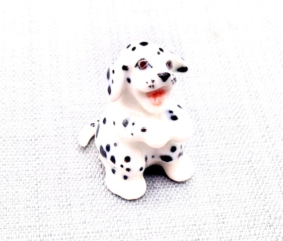 Dalmatian small 2025