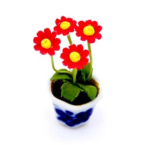 May include: A miniature potted plant with red flowers and green leaves. The pot is white with blue and white floral designs.