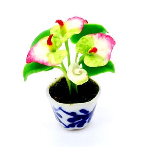 Op de afbeelding: Een miniatuur potplant met witte en roze bloemen en groene bladeren. De pot is wit met een blauw en wit bloemenpatroon.