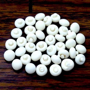 20 Miniaturas de setas para casa de muñecas, arcilla polimérica blanca, micro setas redondas, pequeñas verduras, verduras pequeñas, lindo suministro, comida diminuta, diorama 1/12