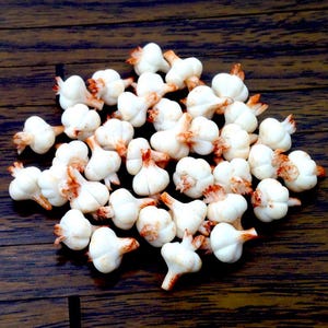 20 miniaturas para casa de muñecas, arcilla polimérica de dientes de ajo, Fimo, verduras pequeñas, suministros para verduras, linda decoración, verduras, comida, joyería, 1/12
