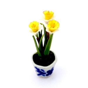 May include: Miniature potted daffodils with bright yellow centers and white petals. The green stems and leaves rise from a small pot with a blue floral design. The pot is filled with dark soil.