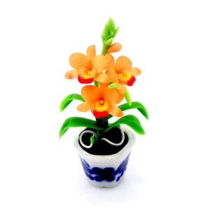 May include: A miniature orange orchid plant in a blue and white ceramic pot. The plant has green leaves and orange flowers with red centers.