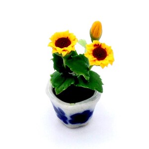 Pode incluir: Mini girassóis em vaso com pétalas amarelas brilhantes e centros vermelhos escuros. As flores estão em um pequeno vaso de cerâmica branco e azul. Folhas verdes cercam as flores e um botão fechado é visível.
