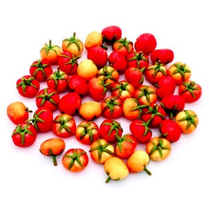 Puede incluir: Una colección de pequeñas frutas redondas, rojas y naranjas con tallos verdes. Las frutas están dispuestas en un montón suelto sobre un fondo blanco.