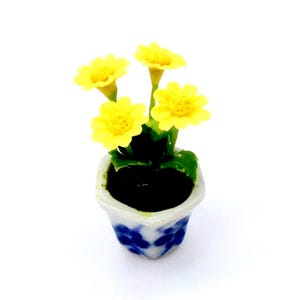 May include: A miniature potted plant with yellow flowers in a blue and white ceramic pot. The pot has a decorative design.