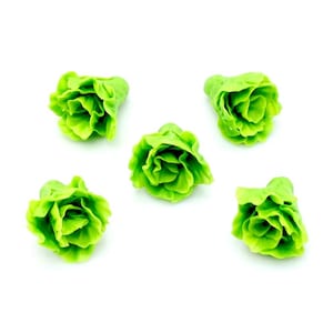 5 Miniature Dollhouse Hellgrün Salate Kohl Salate Ton Polymer Fimo Kleine Gemüse Gemüse Gemüse Schmuck 1/12
