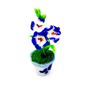 May include: A small potted plant with blue and white flowers. The pot is white with blue and white floral designs.
