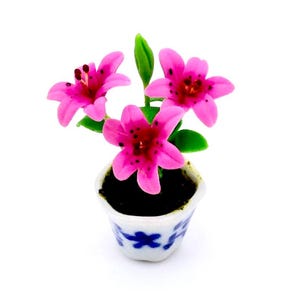 May include: A miniature pink flower plant in a blue and white ceramic pot. The plant has four flowers and green leaves.