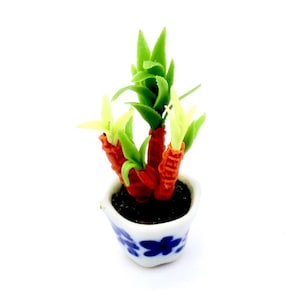 以下が含まれることがあります： 青い花柄の白い陶器の鉢に、緑の葉とオレンジ色の茎を持つミニチュアの鉢植え植物