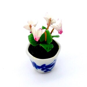 May include: A miniature potted plant with white and pink flowers, green leaves, and dark soil. The small ceramic pot is white with a blue floral design. The plant is set against a plain white background.