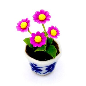 May include: A miniature potted plant with pink flowers and yellow centers. The plant is in a white ceramic pot with blue and white floral designs.