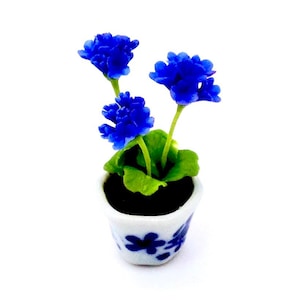 Puede incluir: Una planta en miniatura de flores azules en una maceta de cerámica blanca con un diseño floral azul. La maceta mide aproximadamente 5 cm de alto.