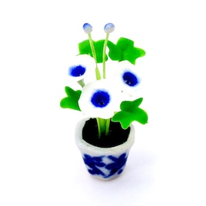 May include: A miniature ceramic flower pot with white flowers with blue centers and green leaves. The pot is white with blue floral designs. Two blue-tipped buds are visible.