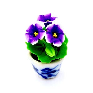 May include: A miniature potted plant with purple and white flowers and green leaves. The pot is white with blue and white floral designs.