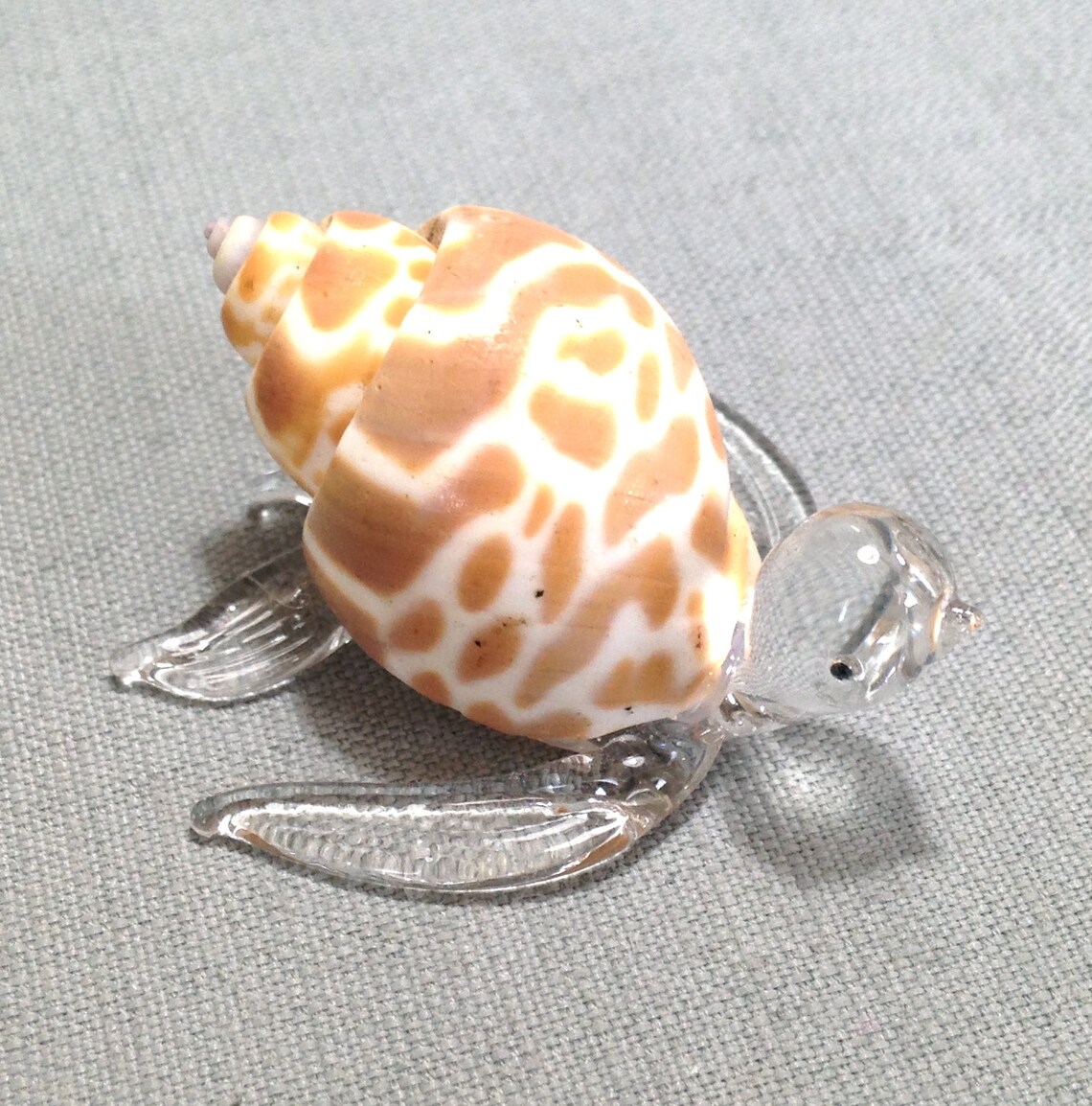 hand blown glass turtle
