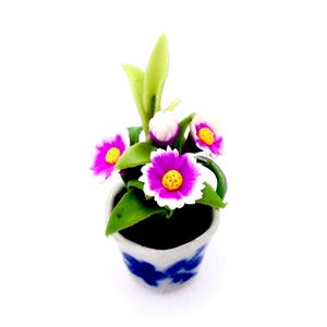 May include: A miniature potted plant with vibrant purple and white flowers, yellow centers, and green leaves. The small ceramic pot has a blue and white floral design. The plant is set against a white background.