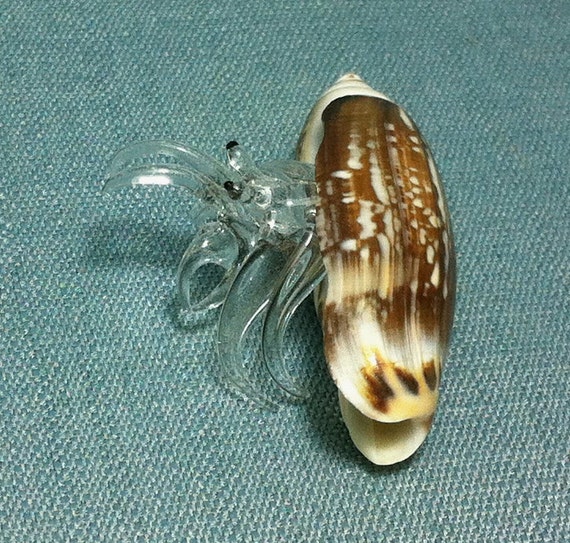 blown glass hermit crab